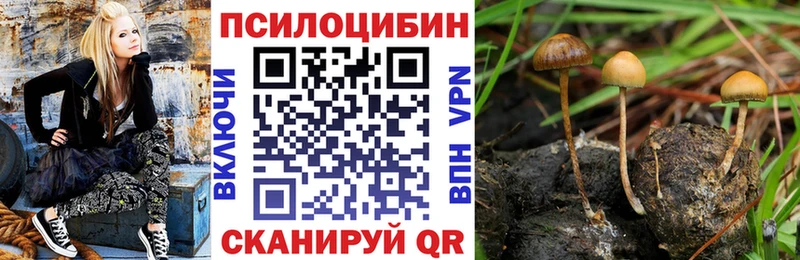 Псилоцибиновые грибы MAGIC MUSHROOMS Зеленодольск
