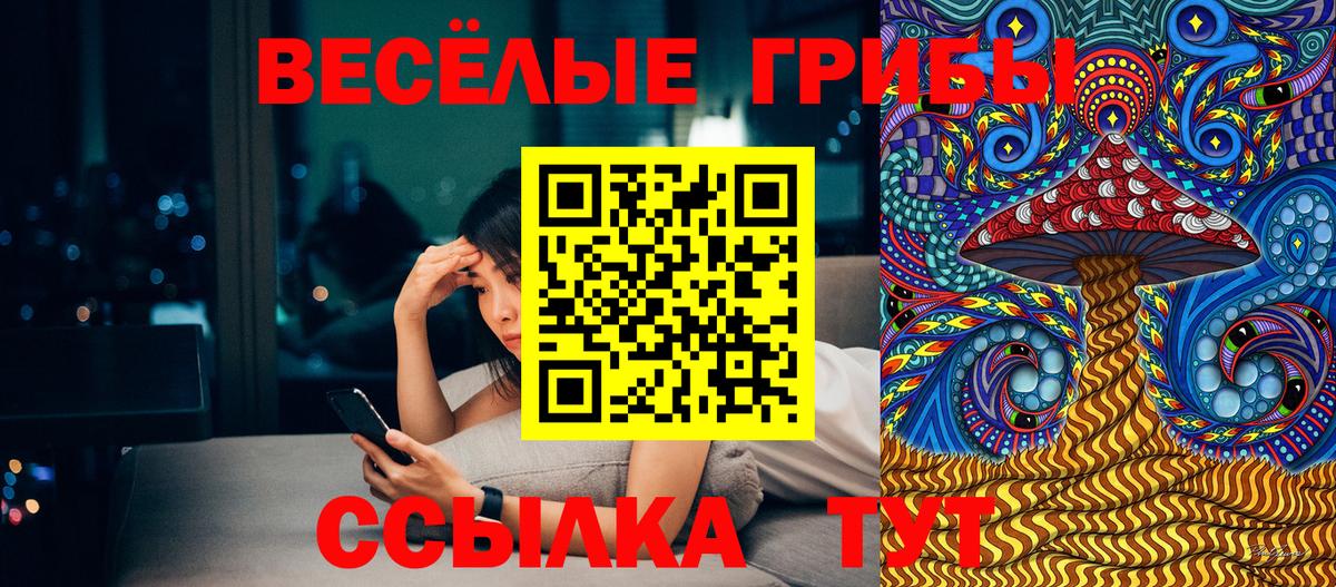 Зеленодольск  где купить наркоту  Вход с VPN  Галлюциногенные грибы Psilocybe 